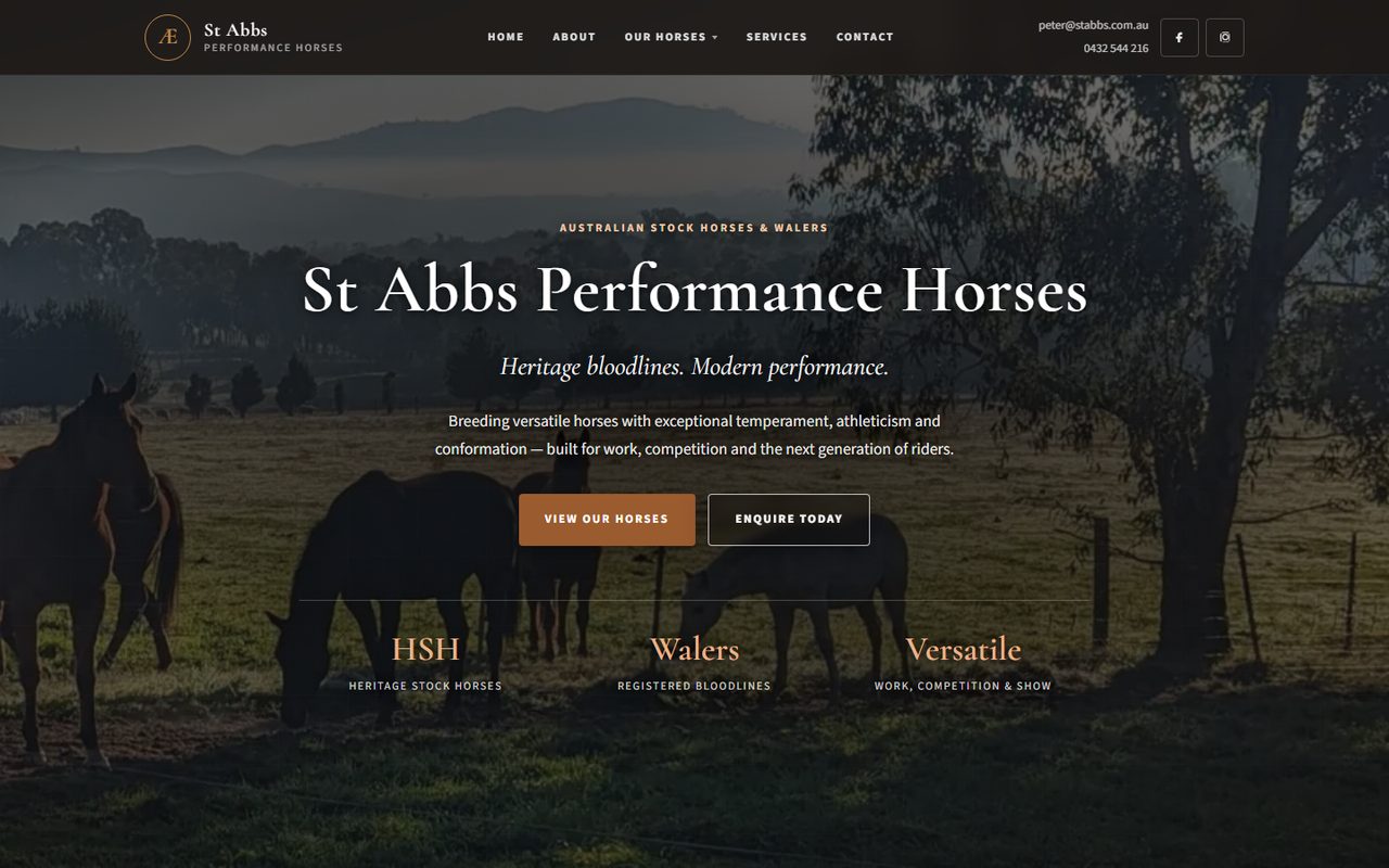 St Abbs Performance Horses homepage with horses in a rural paddock